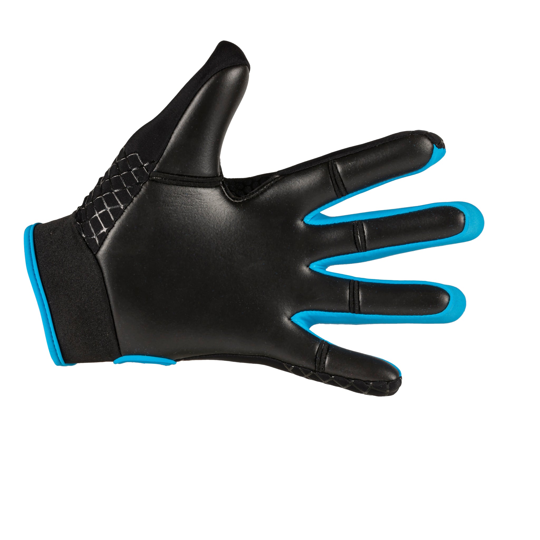 Karakal Web Gaelic Glove Black Blue